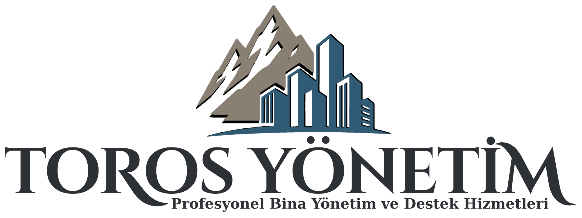 Toros Yönetim